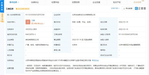 文化信息咨詢 連接過去與未來的橋梁