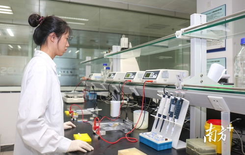 廣東創新扶持計劃 為醫療器械研發注入新動能